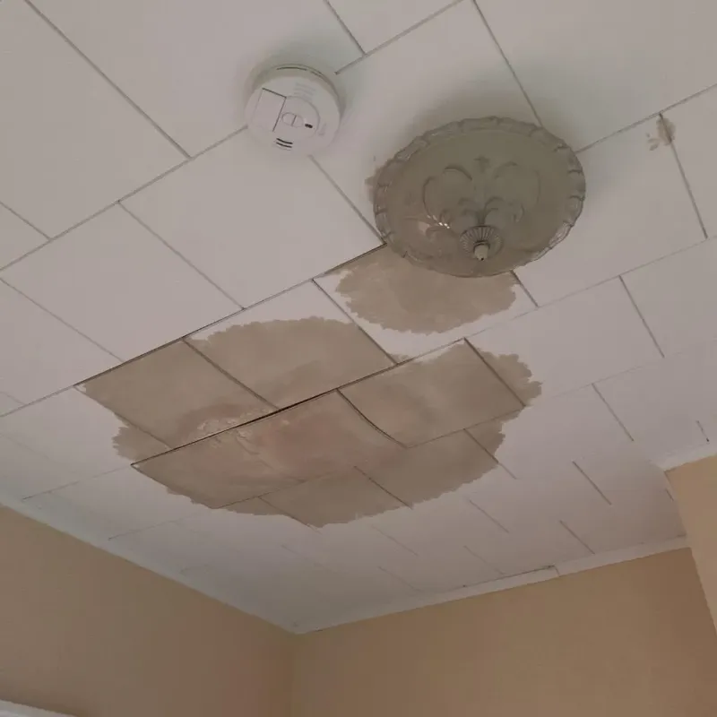 Ceiling Water Damage Repair in Convoy, OH