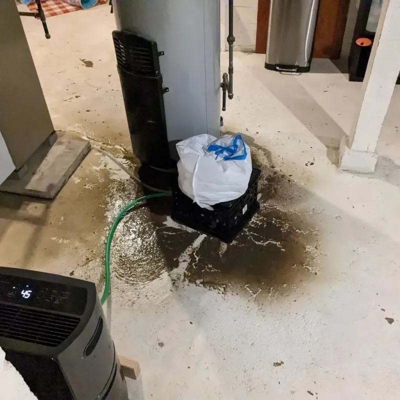Sewage Backup Cleanup Service in Convoy, OH